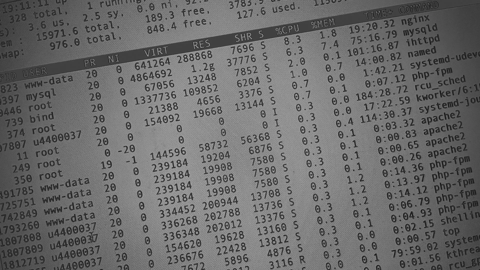 Настройка сервера в Йошкар-Оле